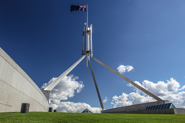 Parliament flag